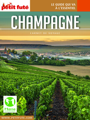 cover image of CHAMPAGNE 2022 Carnet Petit Futé